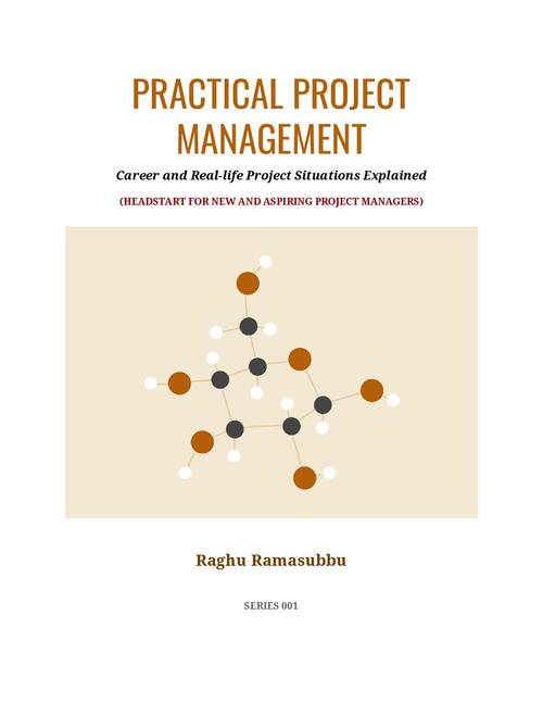Product picture Practical Project Management